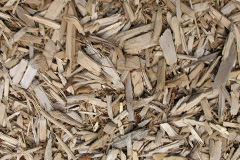 biomass boilers Manea